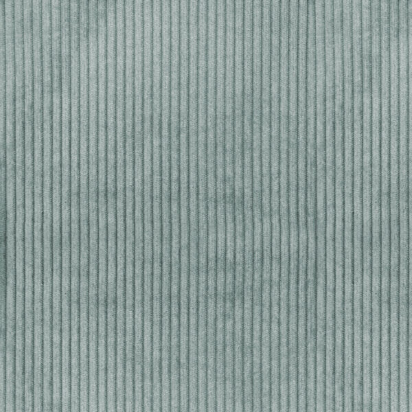 Tela canes-c-001-blanco