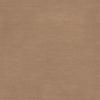 Tela alenar_mushroom-c-170